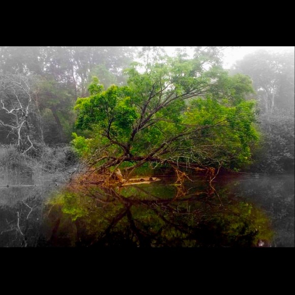 Meet your Posher, Meg - Picture 10 of 12